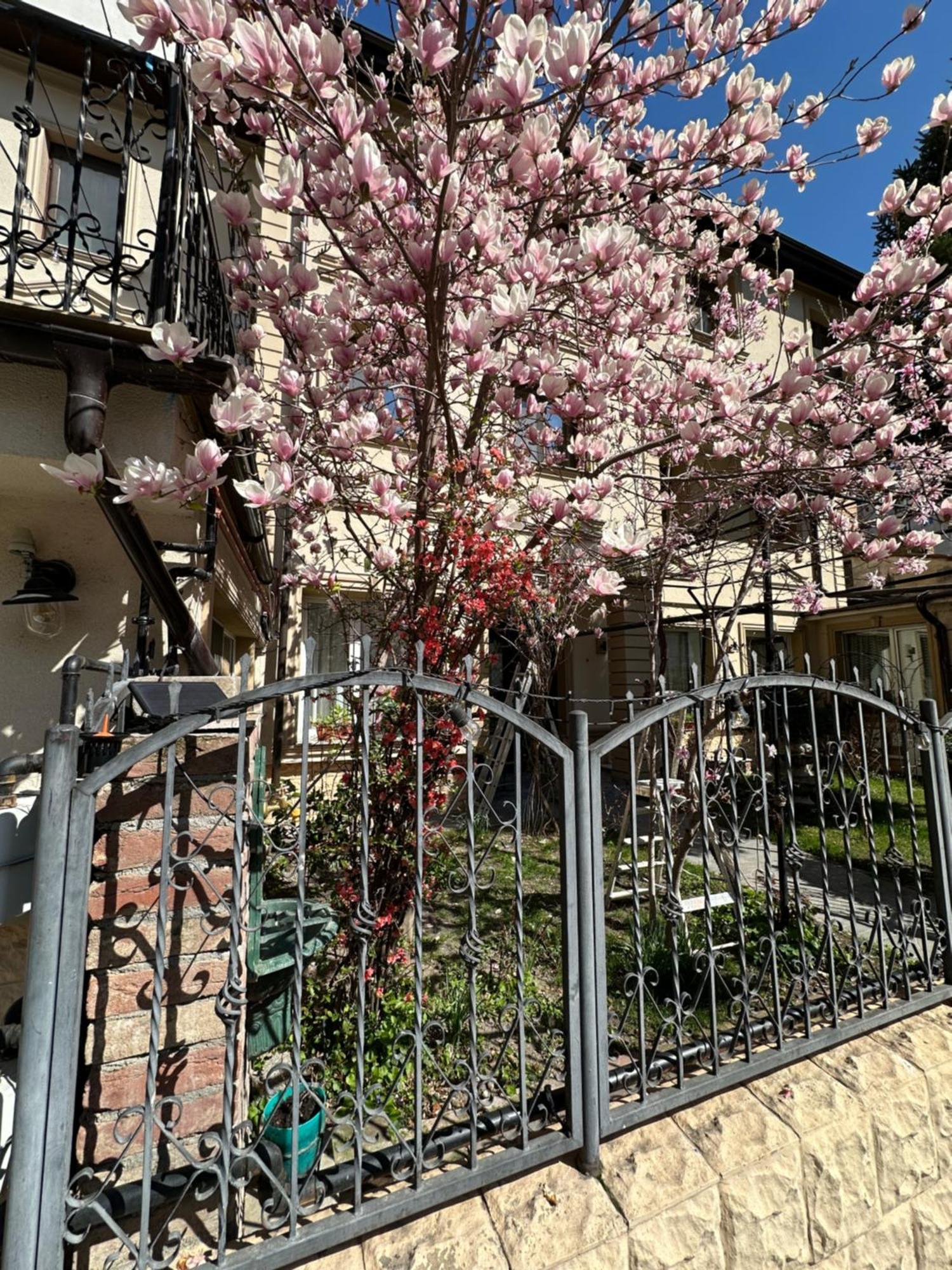 Hotel Boutique Cathedral Plaza Residences Room For Rent Downtown Βουκουρέστι Εξωτερικό φωτογραφία