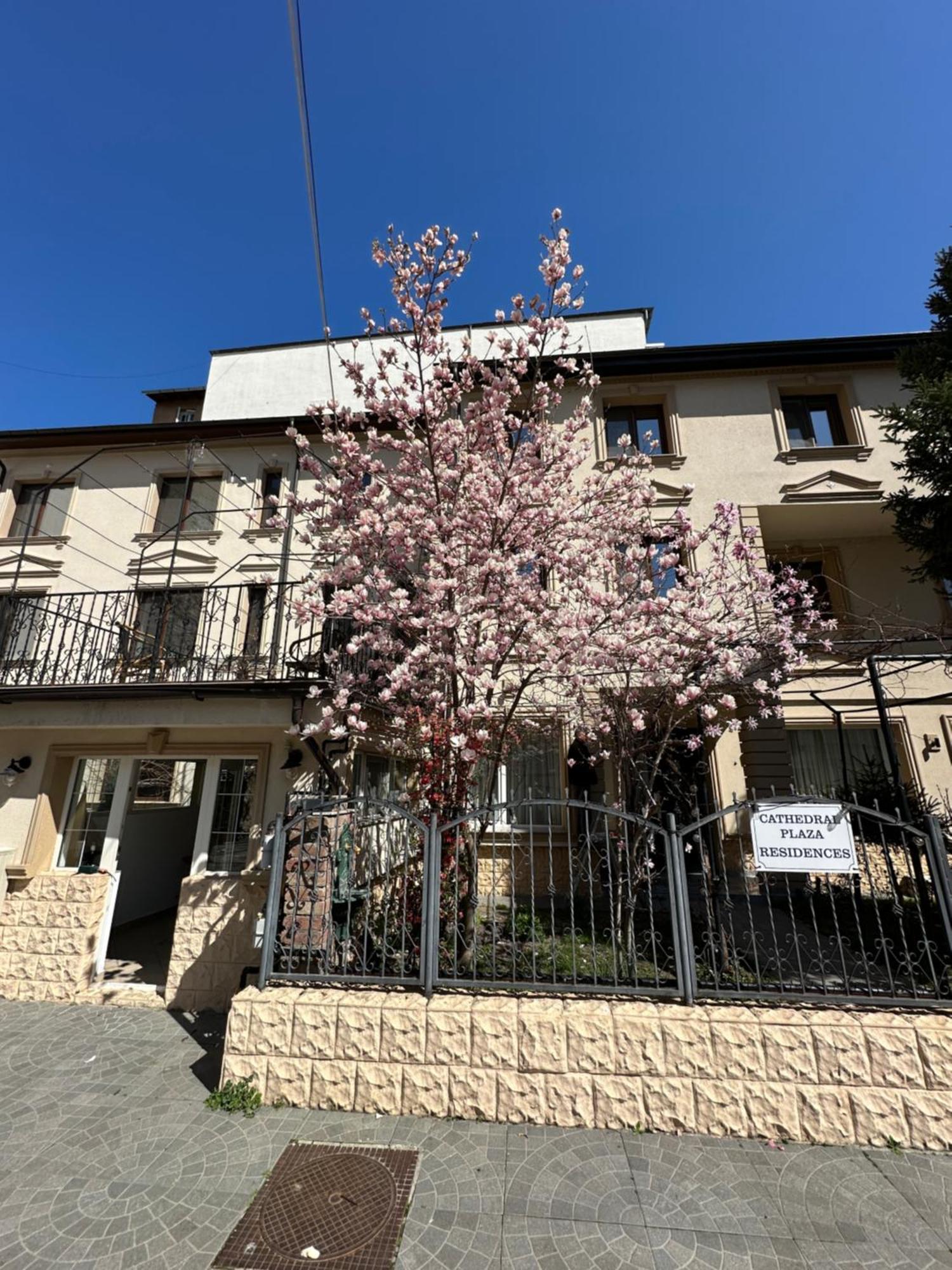 Hotel Boutique Cathedral Plaza Residences Room For Rent Downtown Βουκουρέστι Εξωτερικό φωτογραφία